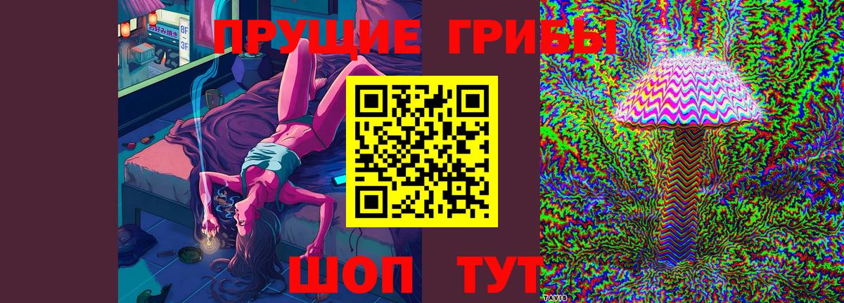 где продают наркотики  Псилоцибиновые грибы Psilocybine cubensis  Торжок  Вход с VPN  Псилоцибиновые грибы ЛСД 